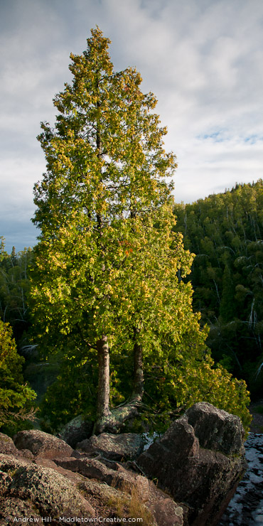 Tettegouche State Park, Minnesota